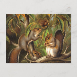 Squirres in a Chestnut Träd Painting Vykort