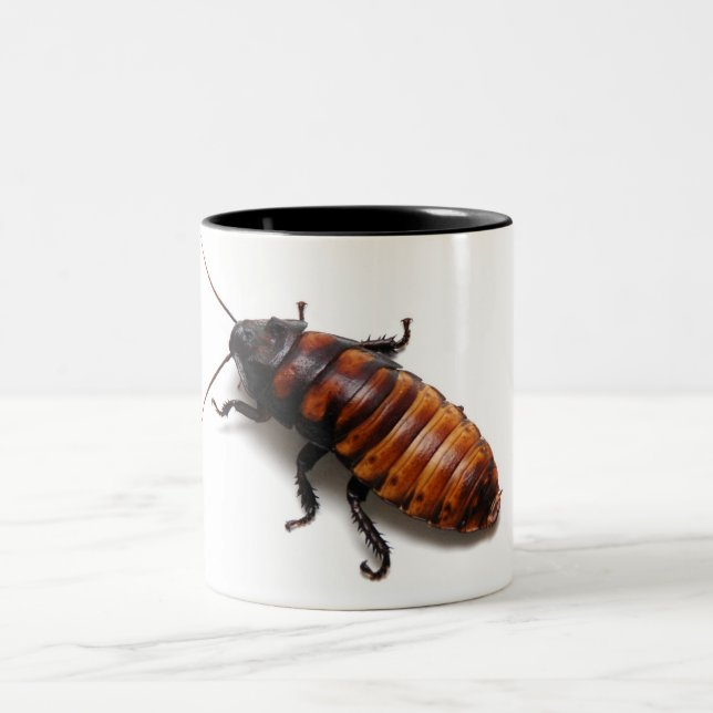 Squish Hisseren Två-Tonad Mugg (Center)