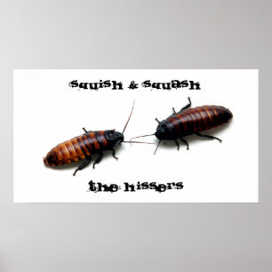 Squish & squash, Hissersen Poster