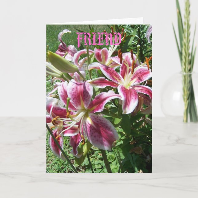 Srargazer Lilies/Friend Kort (Framsida)