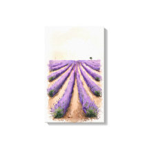 Sretched Canvas - Lavender Fält-målning