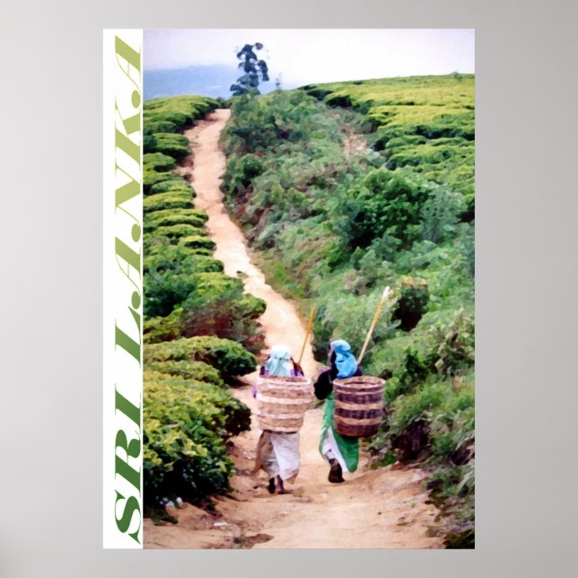 Sri Lanka Poster (Framsidan)