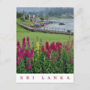 Sri Lanka Sjö Gregory vyvyvykort Vykort