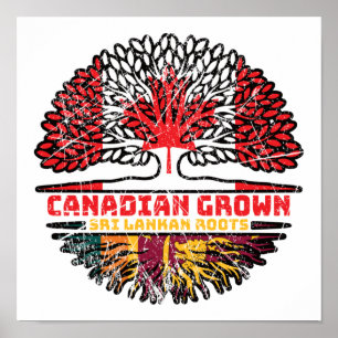 Sri Lanka Sri Lankan Canadian Träd Roots Poster