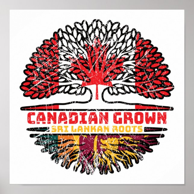 Sri Lanka Sri Lankan Canadian Träd Roots Poster (Framsidan)