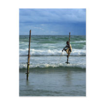 Sri Lanka stick Fishman