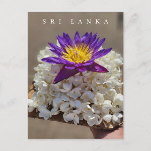Sri Lanka tempel blomster offer vykort