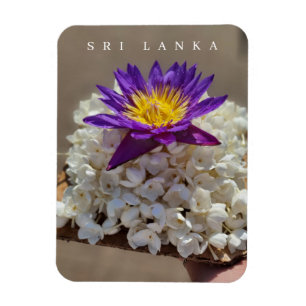 Sri Lanka tempelblomma som erbjuder kylmagnet Magnet