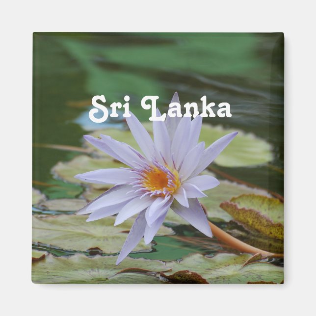 Sri Lanka Vatten Lily Magnet (Framsidan)