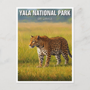 Sri Lanka Yala National Park Travel Vykort