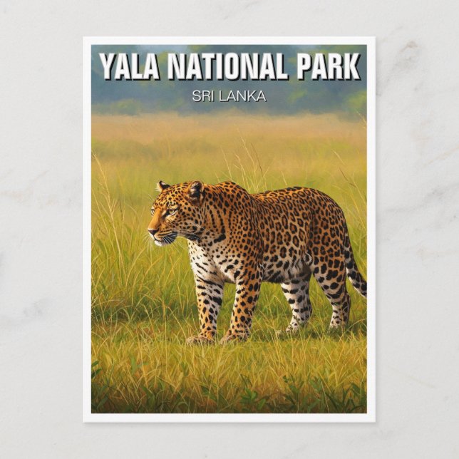 Sri Lanka Yala National Park Travel Vykort (Framsida)
