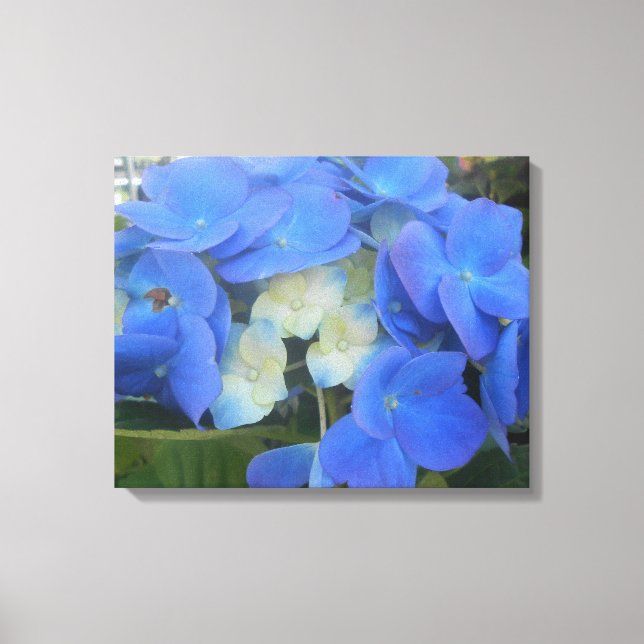 Srtathmore Canvastryck (Framsida)