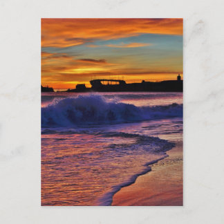 SS Palo Alto. Vykort