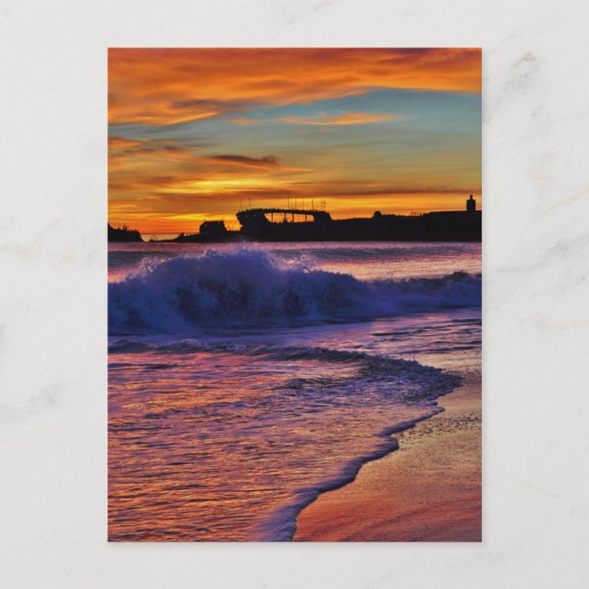 SS Palo Alto. Vykort (Framsida)