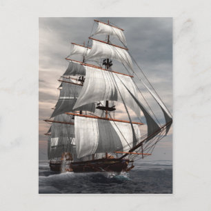 Ss-Savannah Vykort