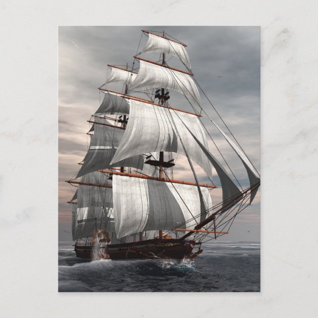 Ss-Savannah Vykort (Framsida)