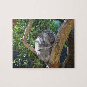 Ssov Koala Pussel