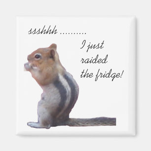 ssshhh ......... I plundrade precis kylen! Magnet