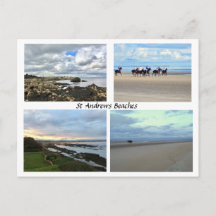 St Andrews Scotland Beacher, Väster Sands, Horses Vykort