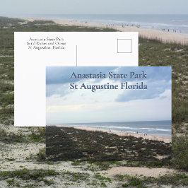 St Augustine FL Anastasia State Park Fotografisk Vykort