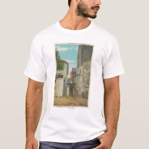 St Augustine FL - beskåda av kassagatan & T-shirt