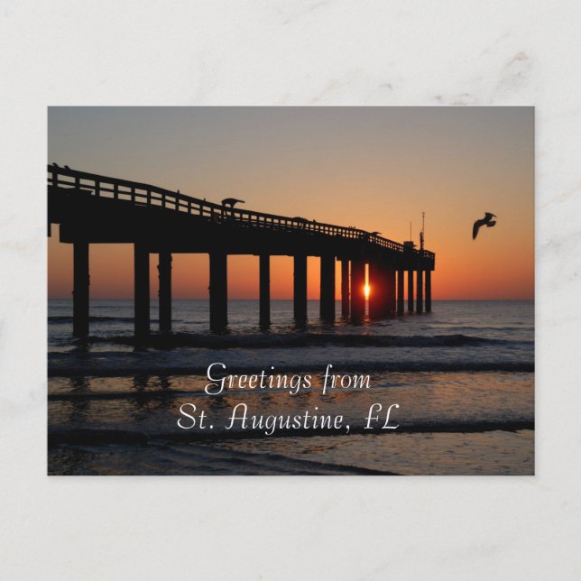 St. Augustine, FL Hälsningar Vykort (Framsida)