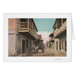 St. Augustine, Florida - View of Charlotte St. Hälsningskort