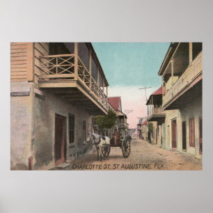 St. Augustine, Florida - View of Charlotte St. Poster