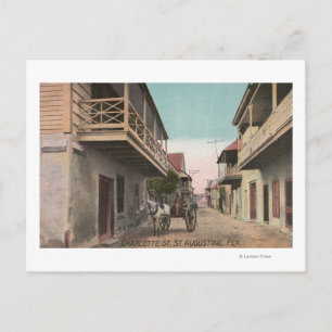 St. Augustine, Florida - View of Charlotte St. Vykort