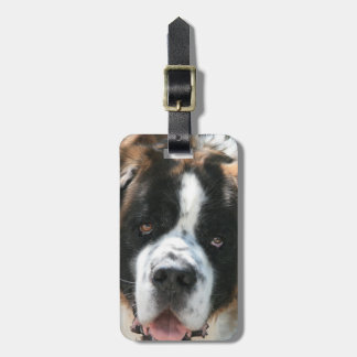 St Bernard bagagemärkre Bagagebricka