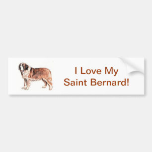 St Bernard Bildekal