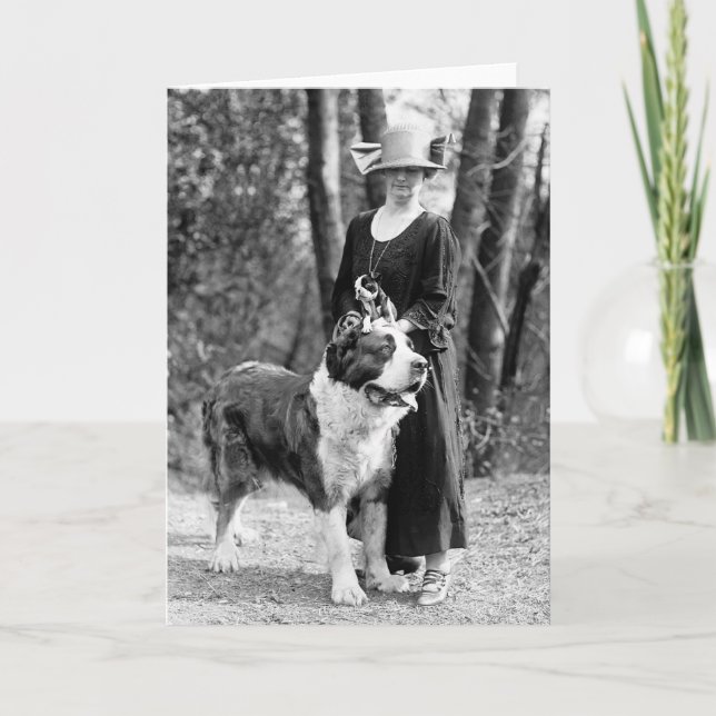St Bernard & Boston Terrier, 1925 Kort (Framsida)