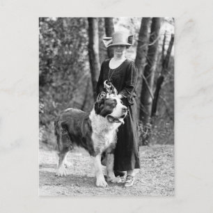 St Bernard & Boston Terrier, 1925 Vykort