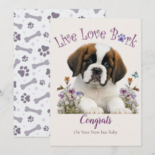 St. Bernard Hund Adoption, Gotcha Day Kort