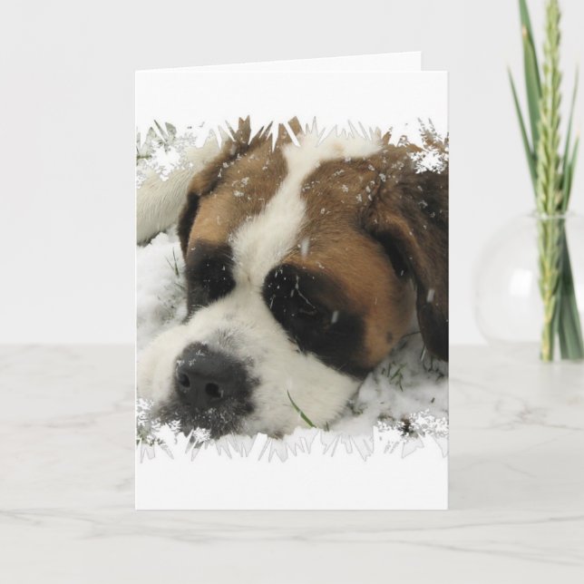 St Bernard Hund Greeting Card Kort (Framsida)