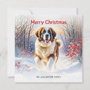 St Bernard Hund I Snö God Jul Julkort