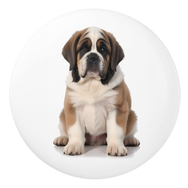St. Bernard Hund Knopp (Framsidan)