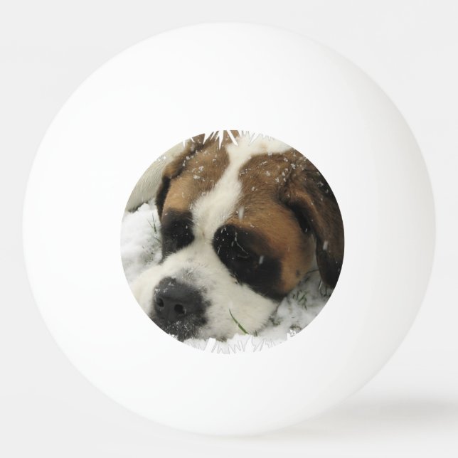 St Bernard hund Pingisboll (Framsidan)