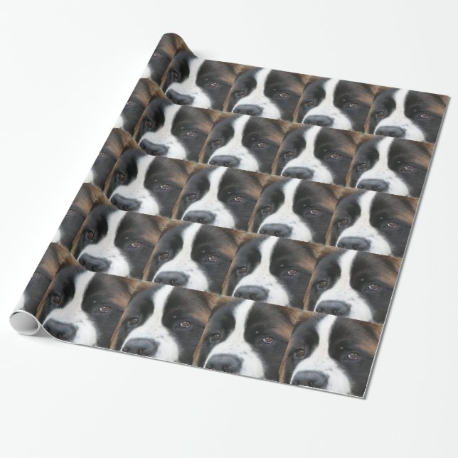 St Bernard hund Presentpapper (Utrullad)