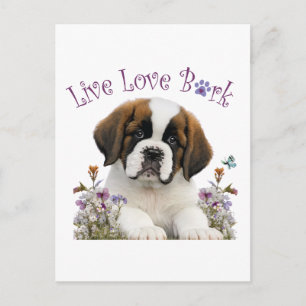 St. Bernard Hundmamma Blommig Vykort