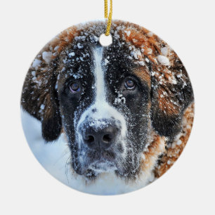 St Bernard i Snö Julgransprydnad Keramik