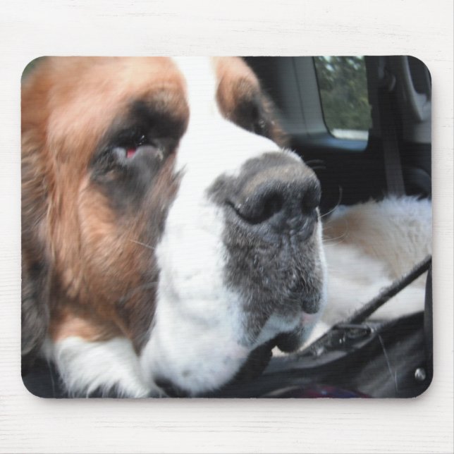 ST BERNARD JAKE MOUSEPAD 3 MUSMATTA (Framsidan)