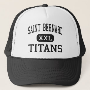 St Bernard - jättar - kick - Cincinnati Ohio Keps