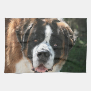 St Bernard kökshandduk