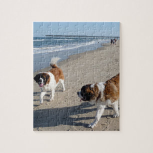 St Bernard på strandpusslet Pussel