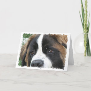 St Bernard Puppies-hälsningskort Kort