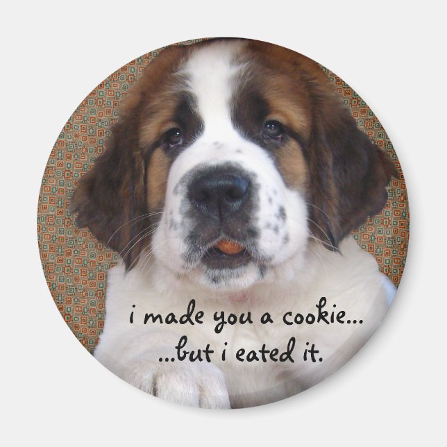 St Bernard Puppy Cookie Magnet (Framsidan)