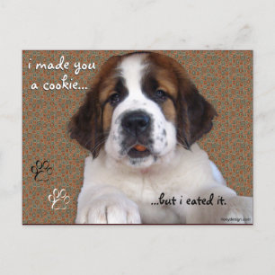 St Bernard Puppy Cookie Vykort