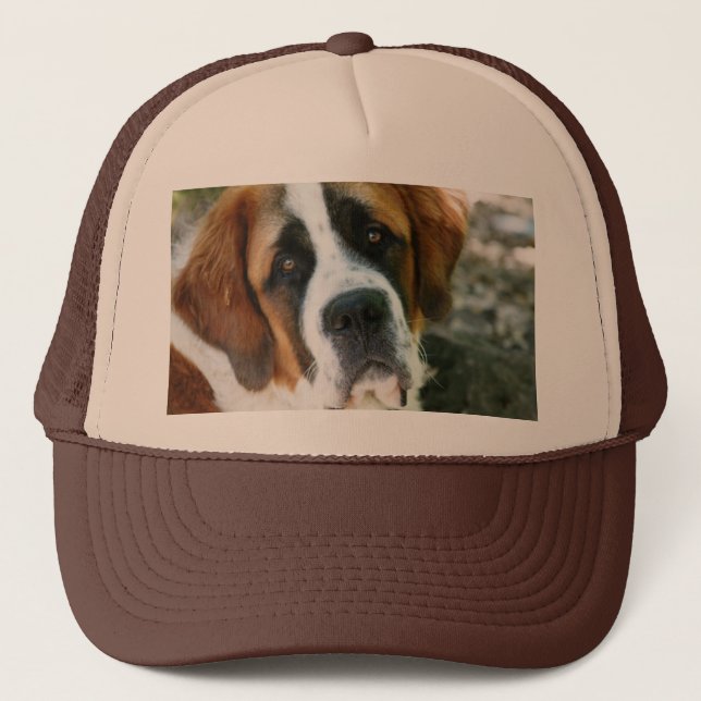 St Bernard Truckerkeps (Framsida)