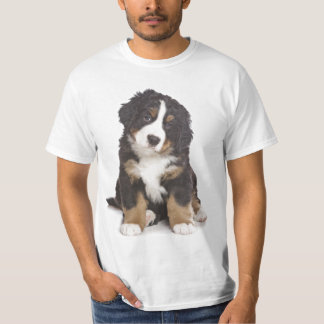 St Bernard valp Tee